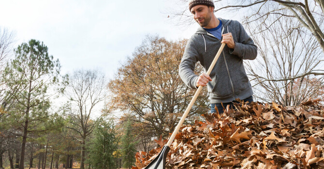 Raking Leaves Without Wrecking Your Back: A Physiotherapy Guide for Ottawa