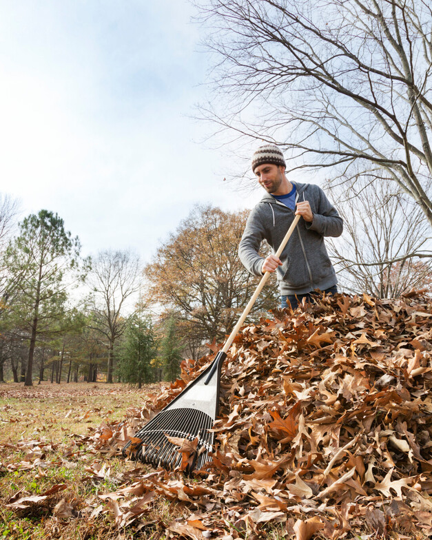 a man raking leaves in Ottawa